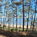 Le Vitrail D'arcachon - Appt Spacieux Terrasse