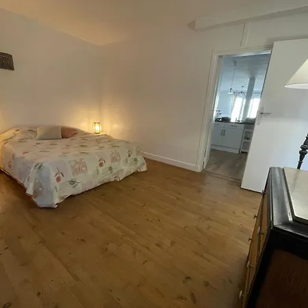 Apartment Le Vitrail D'arcachon - Appt Spacieux Terrasse Menage Draps Inclus