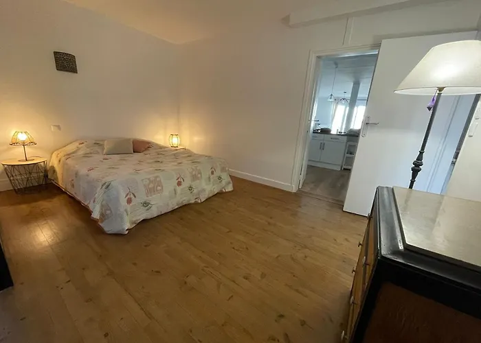 Apartment Le Vitrail D'arcachon - Appt Spacieux Terrasse Menage Draps Inclus