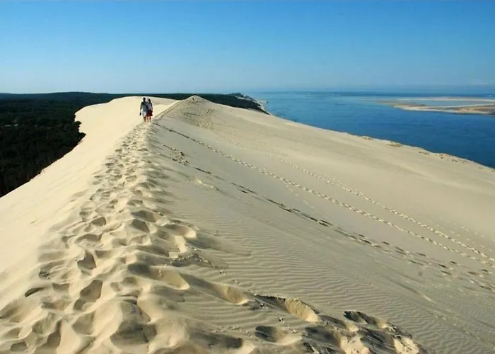 Le Vitrail D'arcachon - Appt Spacieux Terrasse Menage Draps Inclus