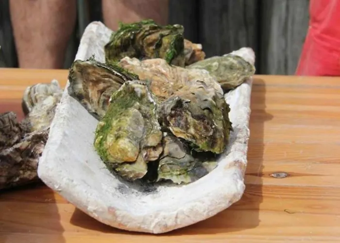 Le Vitrail D'arcachon - Appt Spacieux Terrasse Menage Draps Inclus *