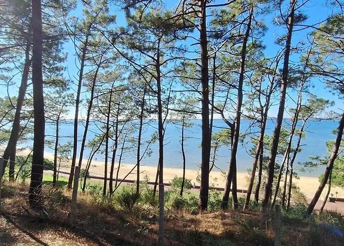 Le Vitrail D'arcachon - Appt Spacieux Terrasse Menage Draps Inclus